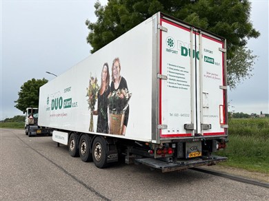 53590436-4
