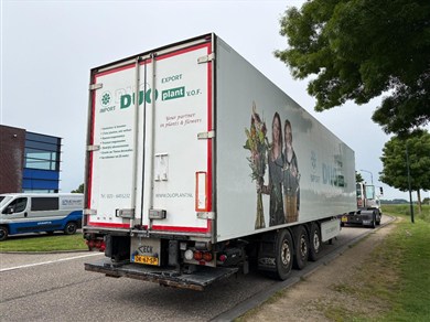 53590436-2