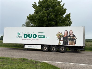 53590436-5
