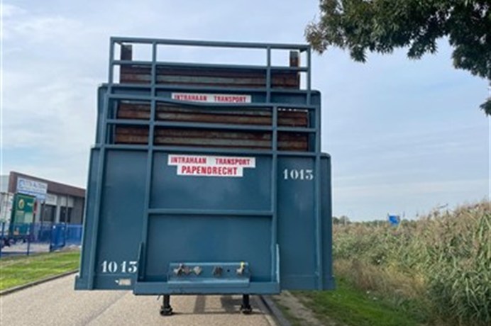 50393331-7