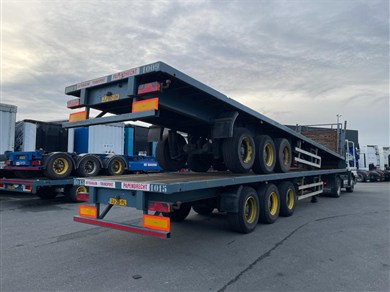 50392156-4
